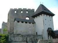 Starý hrad Celje